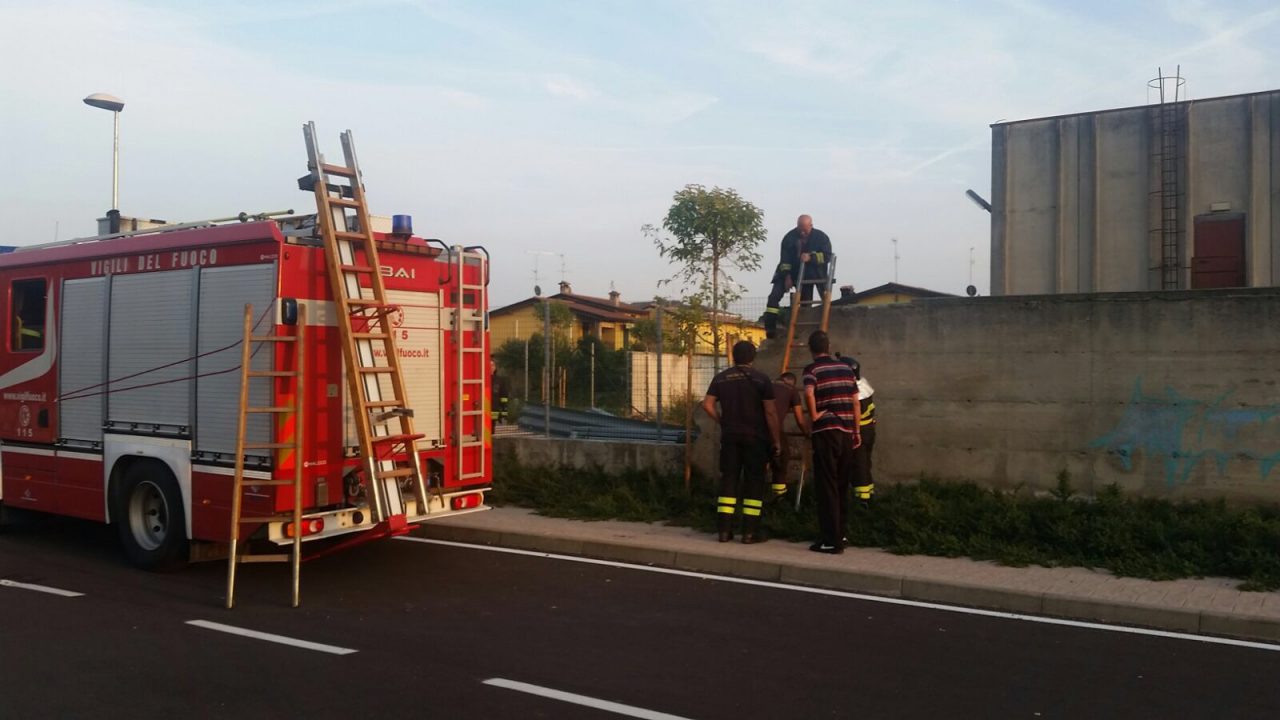 Incendio al magazzino, fiamme domate