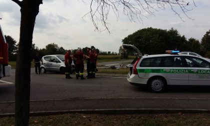 Perde il controllo dell'auto e fa strike con i cartelli