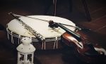 Arpe e violini, lungo il suggestivo Oglio VIDEO