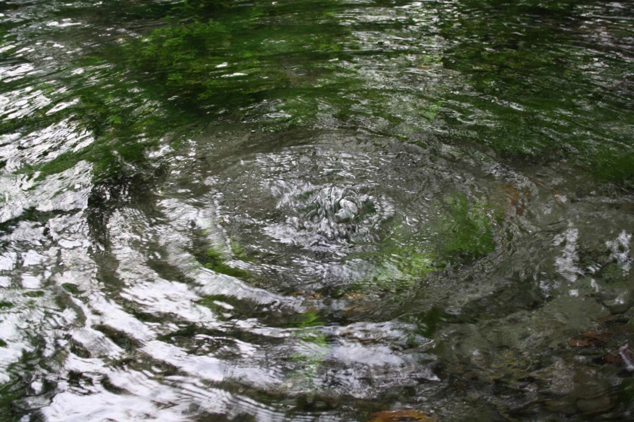Impariamo ad ascoltare il respiro del fiume