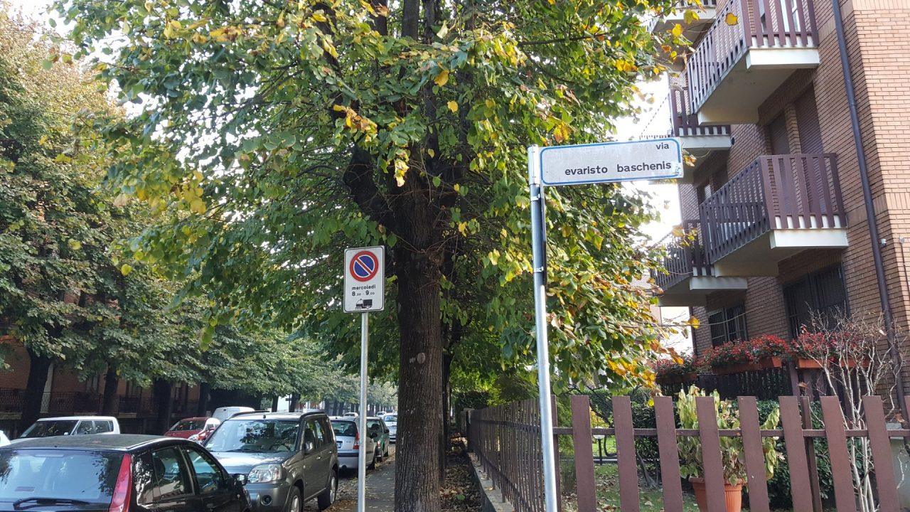 «I tigli di viale Montecatini non si toccano»