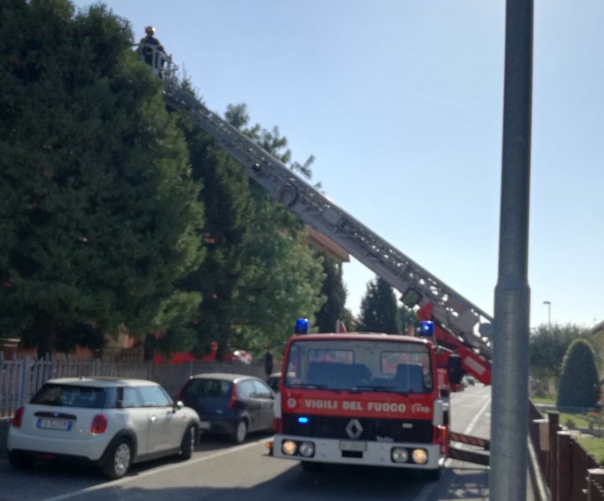 Pompieri al lavoro per salvare un gatto, strada chiusa nell’ora di punta