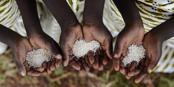 #FameZERO, dieci modi per non sprecare il cibo