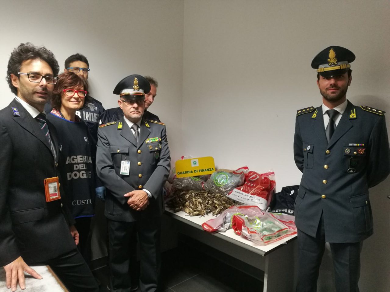 Contrabbando di uccellini: maxi sequestro all’aeroporto FOTO