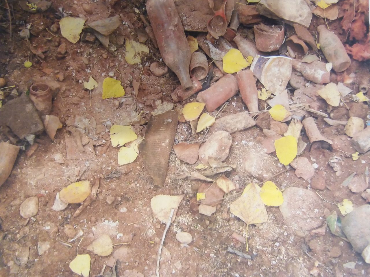 Discarica fiume Serio. Legambiente attacca FOTO