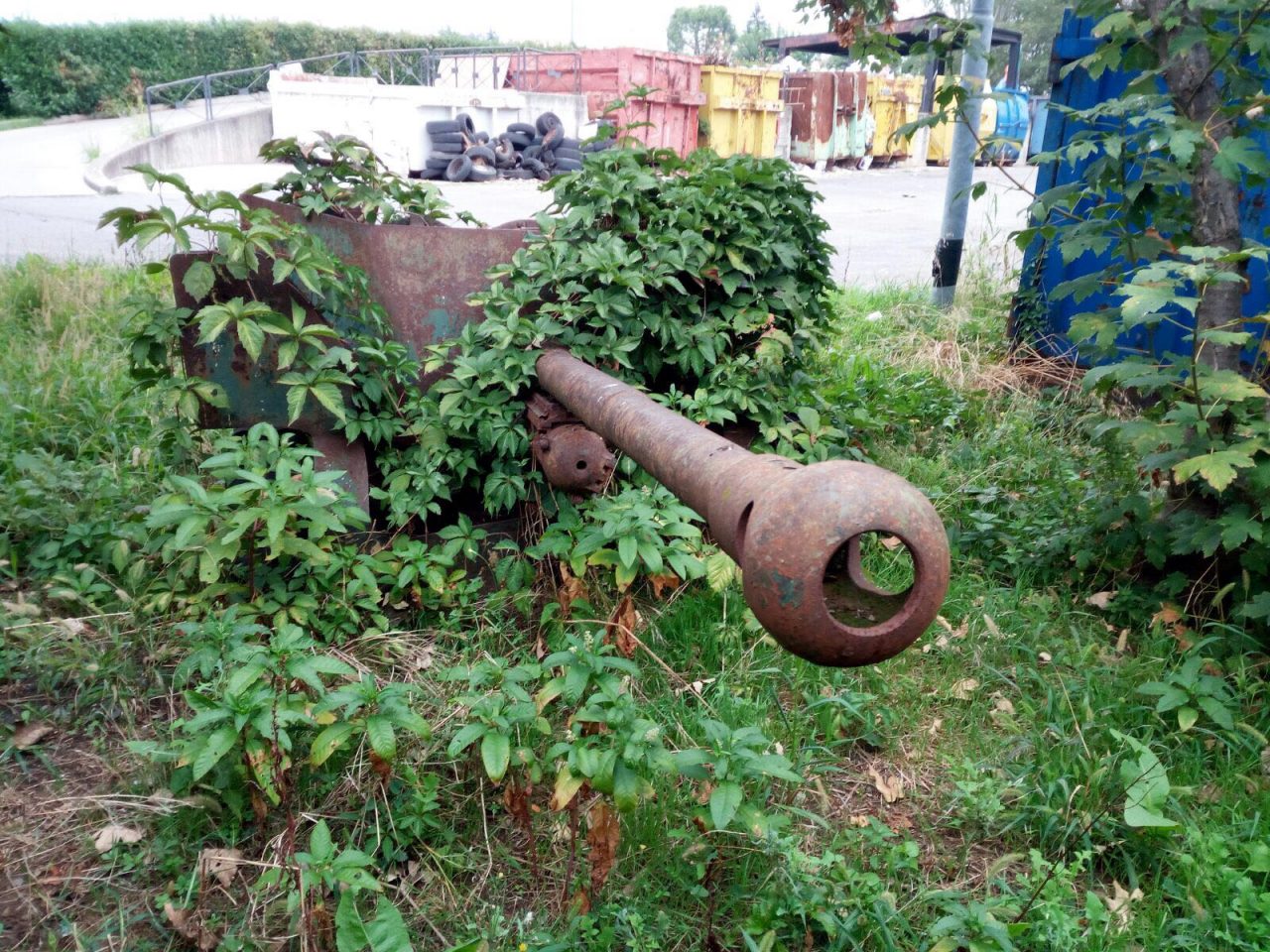 Cannone in discarica: cosa ci fa lì?