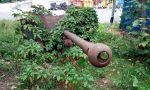 Cannone in discarica: cosa ci fa lì?