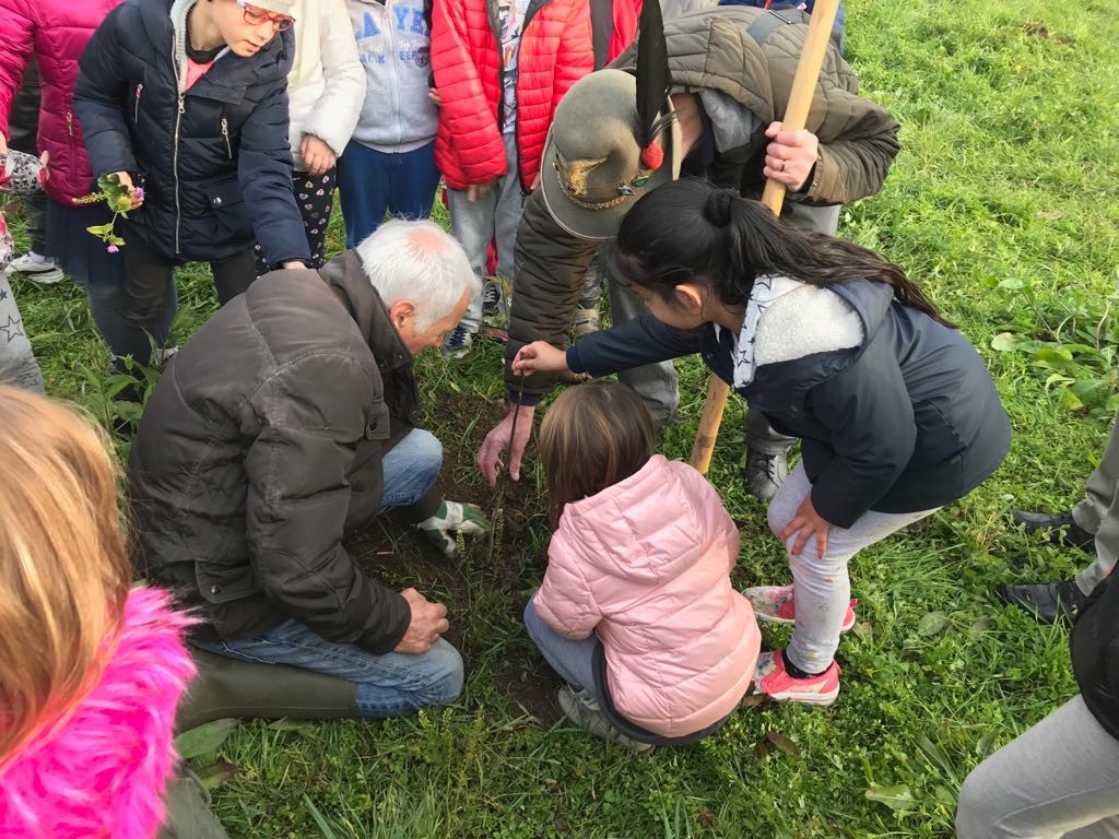 Caravaggio verde, ecco come cambieranno parchi e giardini