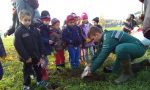 Festa dell'albero, a dimora 200 piantine FOTO VIDEO