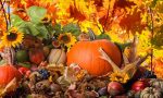 Festa d'Autunno: ecco gli appuntamenti da non perdere