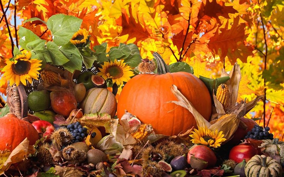 Festa d’Autunno: ecco gli appuntamenti da non perdere