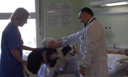 Animali in ospedale in Lombardia ora si può VIDEO