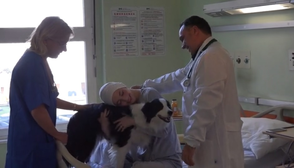 Animali in ospedale in Lombardia ora si può VIDEO