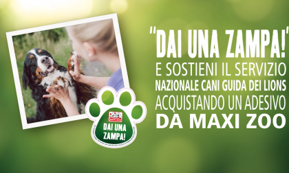 Maxi Zoo torna l'iniziativa benefica con i cani guida