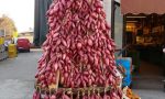 Natale speciale con l'albero di cipolle