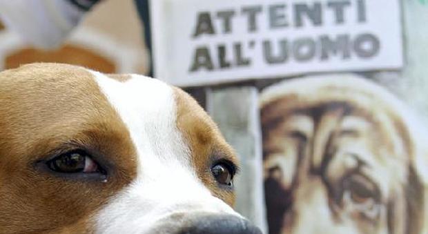 Spara al cane e lo abbandona, Carlos torna a vivere