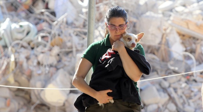 In caso di calamità la Protezione Civile aiuterà anche gli animali