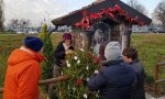 Il Centro diurno addobba l'albero della Santella