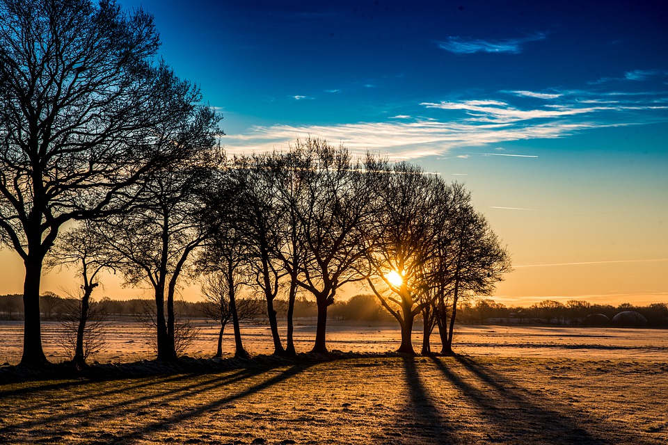 Inverno? Ma dove? Temperature record anche nella Bassa