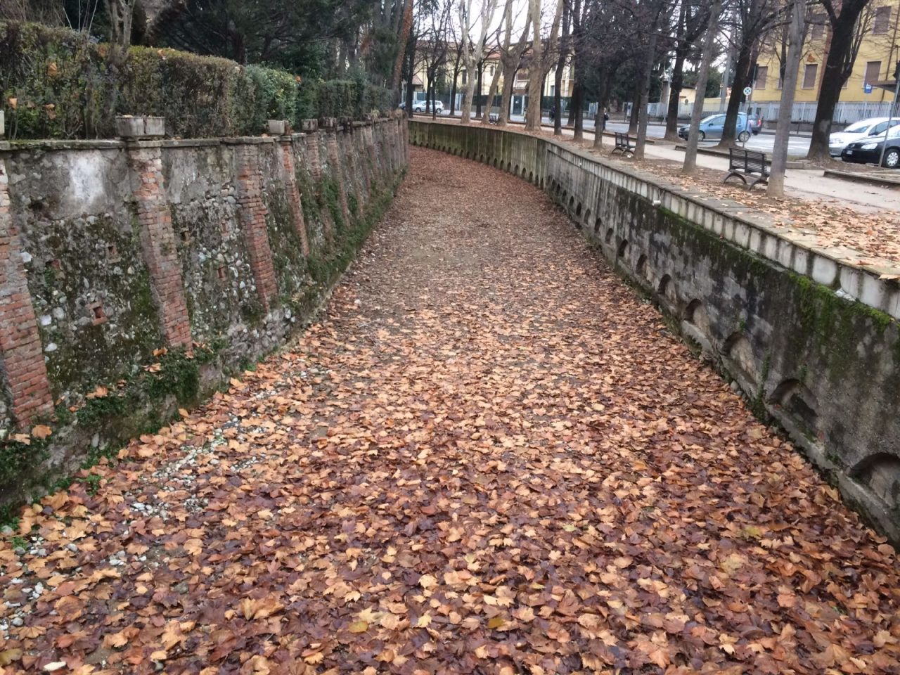“Fossato a secco? L’Amministrazione ancora non comanda la natura”