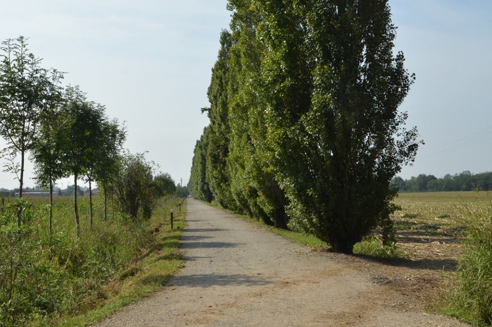 Via Bartolomeo Colleoni presto riqualificata