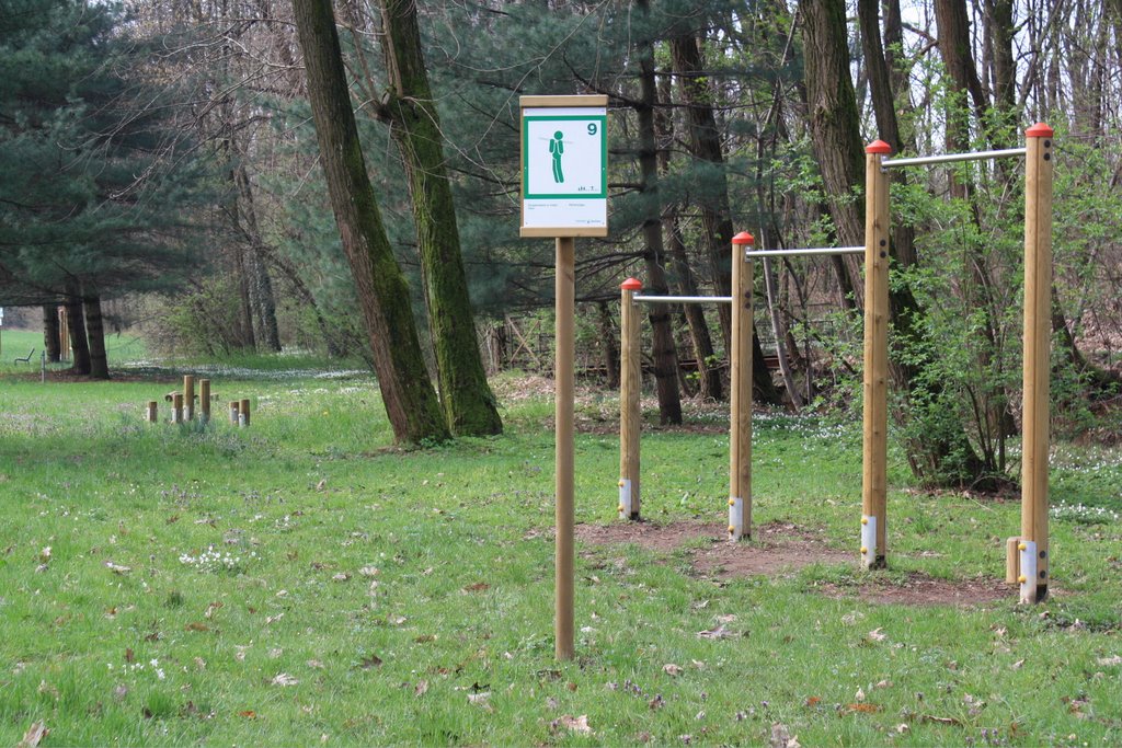 A Pianengo arriva il «percorso vita»