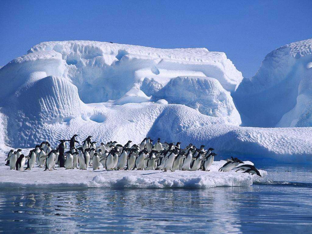 Vado a vivere ad Antarticland (per non pagare le tasse)