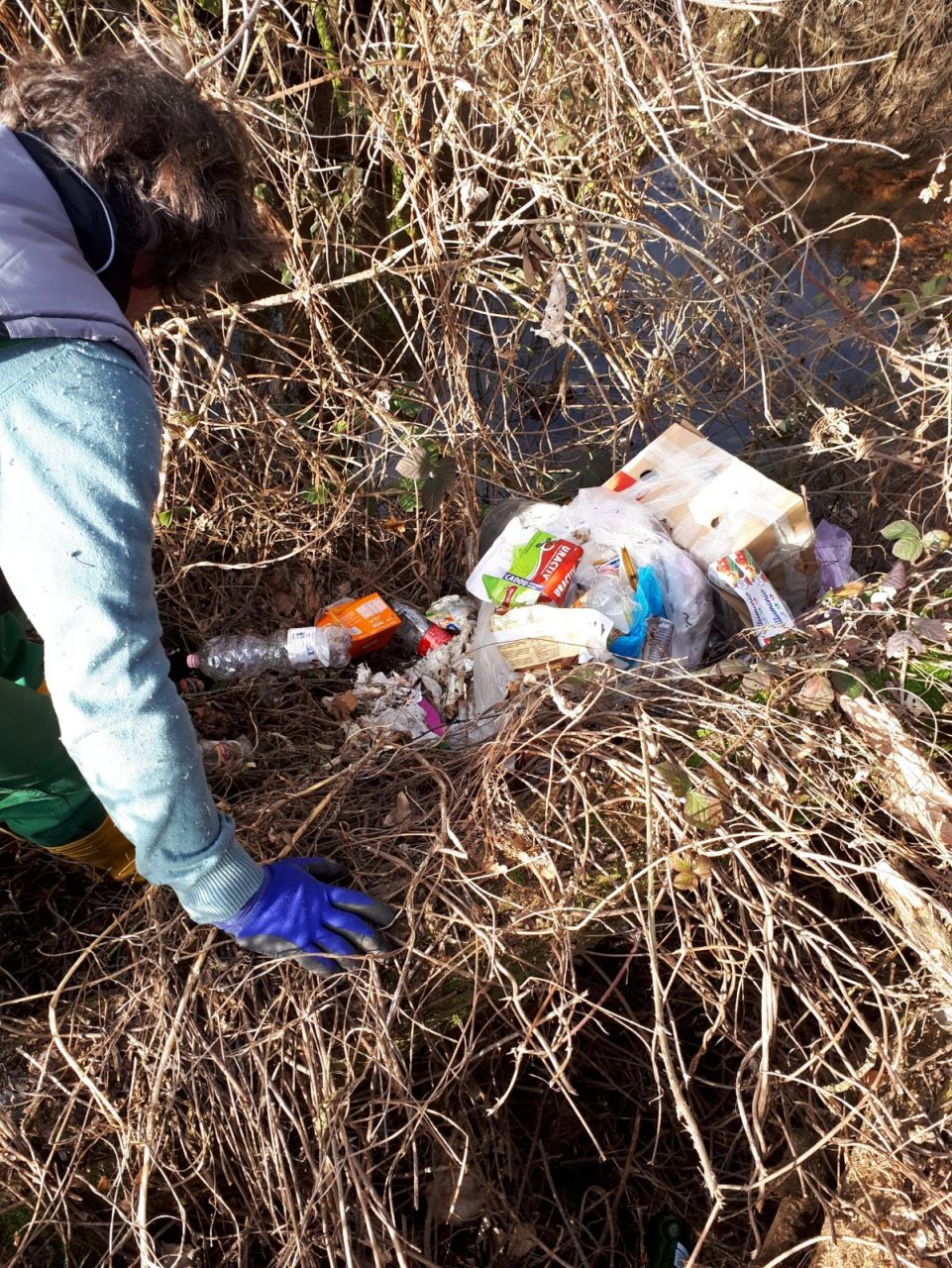 Rifiuti abbandonati, in un sacco anche la carcassa di un cane