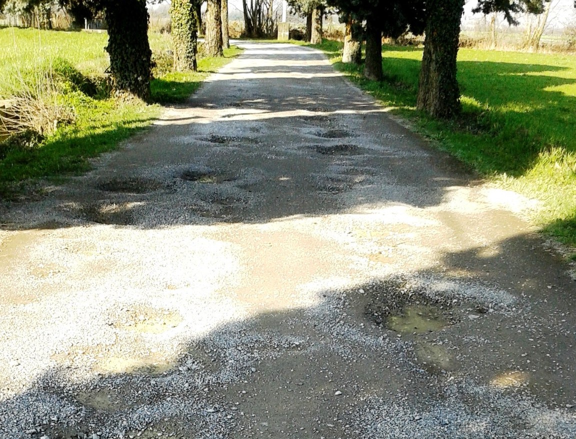 La proposta dei Cinquestelle: “Pedonalizziamo il viale”