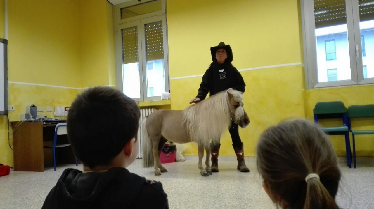 Che ci fa un cavallo in una seconda elementare? Il pony Patrick arriva in aula