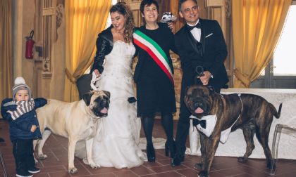 A Brignano i cani degli sposi portano le fedi, quando a Pontirolo fu vietato -Foto