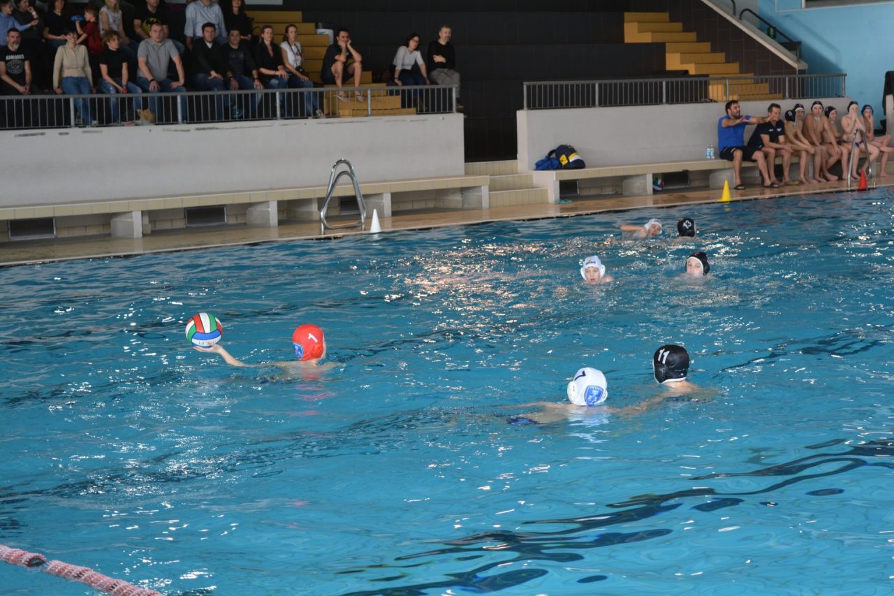 Pallanuoto Treviglio, weekend di vittorie importanti
