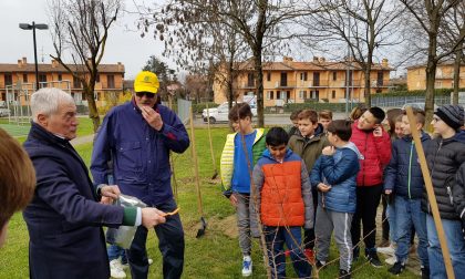 40 nuovi alberi per la Festa dell'Albero