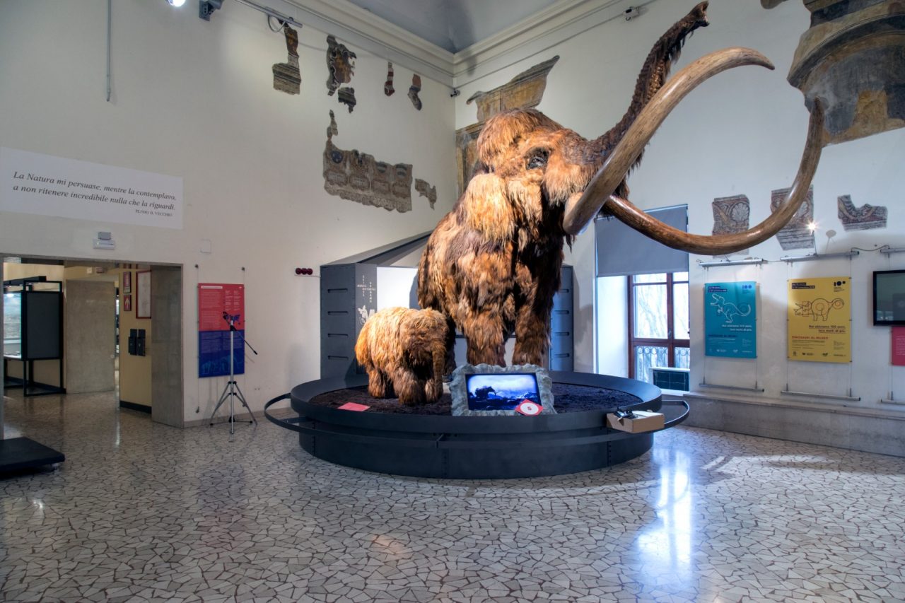 Pasqua con i bambini al museo di Bergamo ci sono i dinosauri