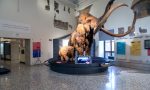 Pasqua con i bambini al museo di Bergamo ci sono i dinosauri