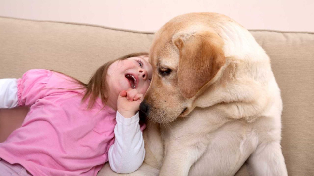 Il parco di Pluto regala la pet therapy ai disabili del Cdd