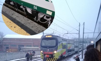 Treno bloccato a Melzo non sarebbe colpa del ghiaccio