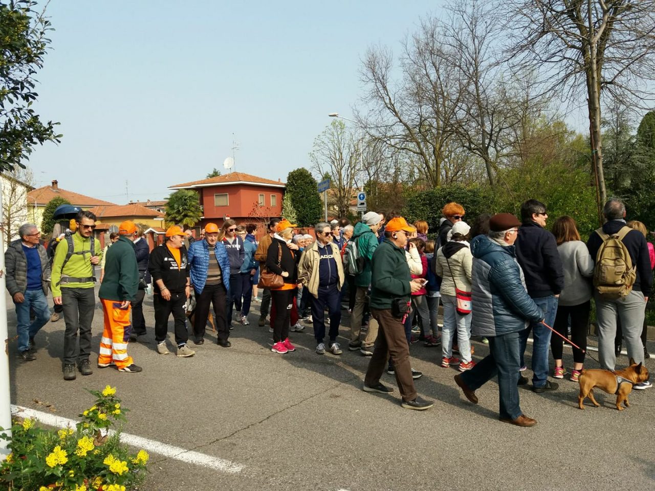 Alla scoperta delle erbe e delle piante lungo l’Adda FOTO