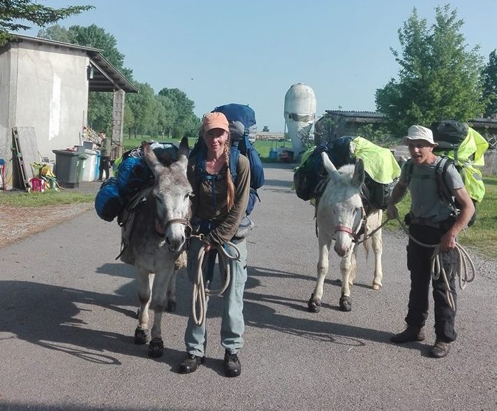 Dalla Germania al cremasco a passo d’asino