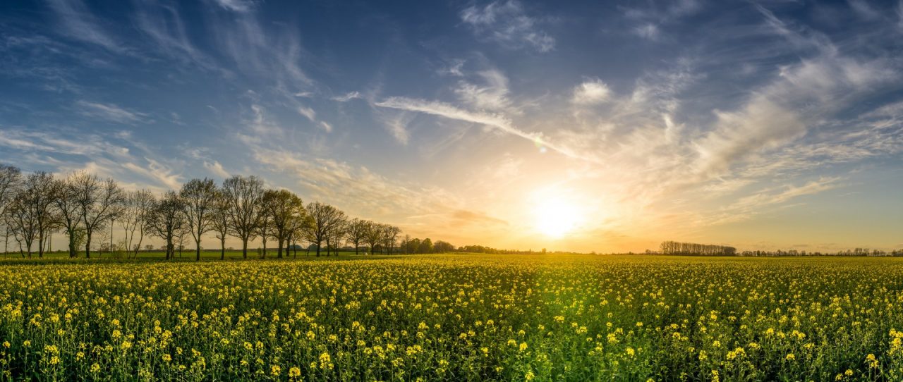 Meteo weekend: vento e caldo, ma domenica nuovo vortice