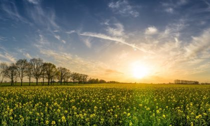 Meteo weekend: vento e caldo, ma domenica nuovo vortice