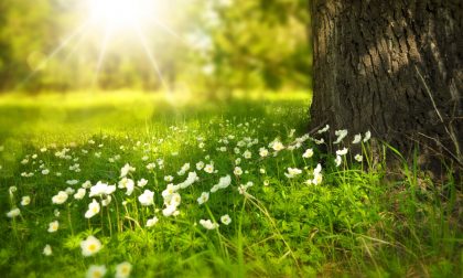 Un 25 aprile col sole, ma poi torna la pioggia...