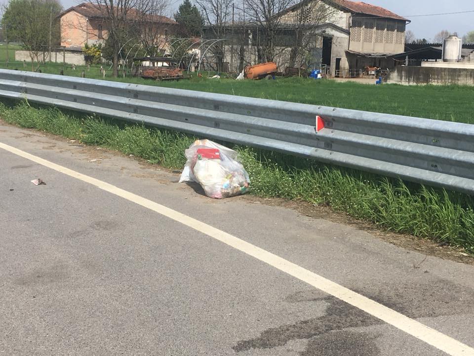 Giornata ecologica dopo i volontari passano gli incivili
