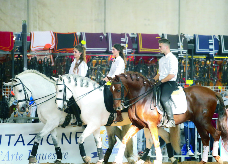In festa per il canile