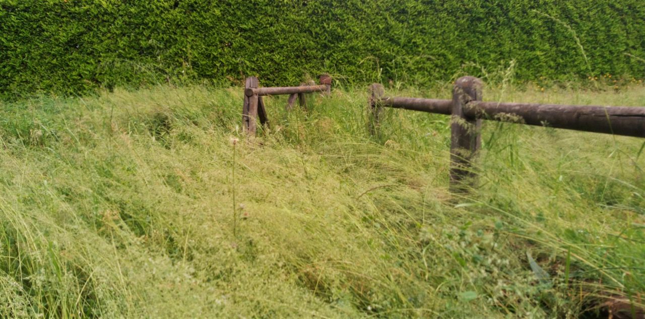 Vaiano Cremasco, erba alta al parco di via Europa