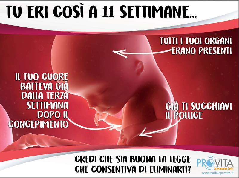 La campagna anti aborto arriva a Crema con i manifesti di Pro Life - Prima  Treviglio