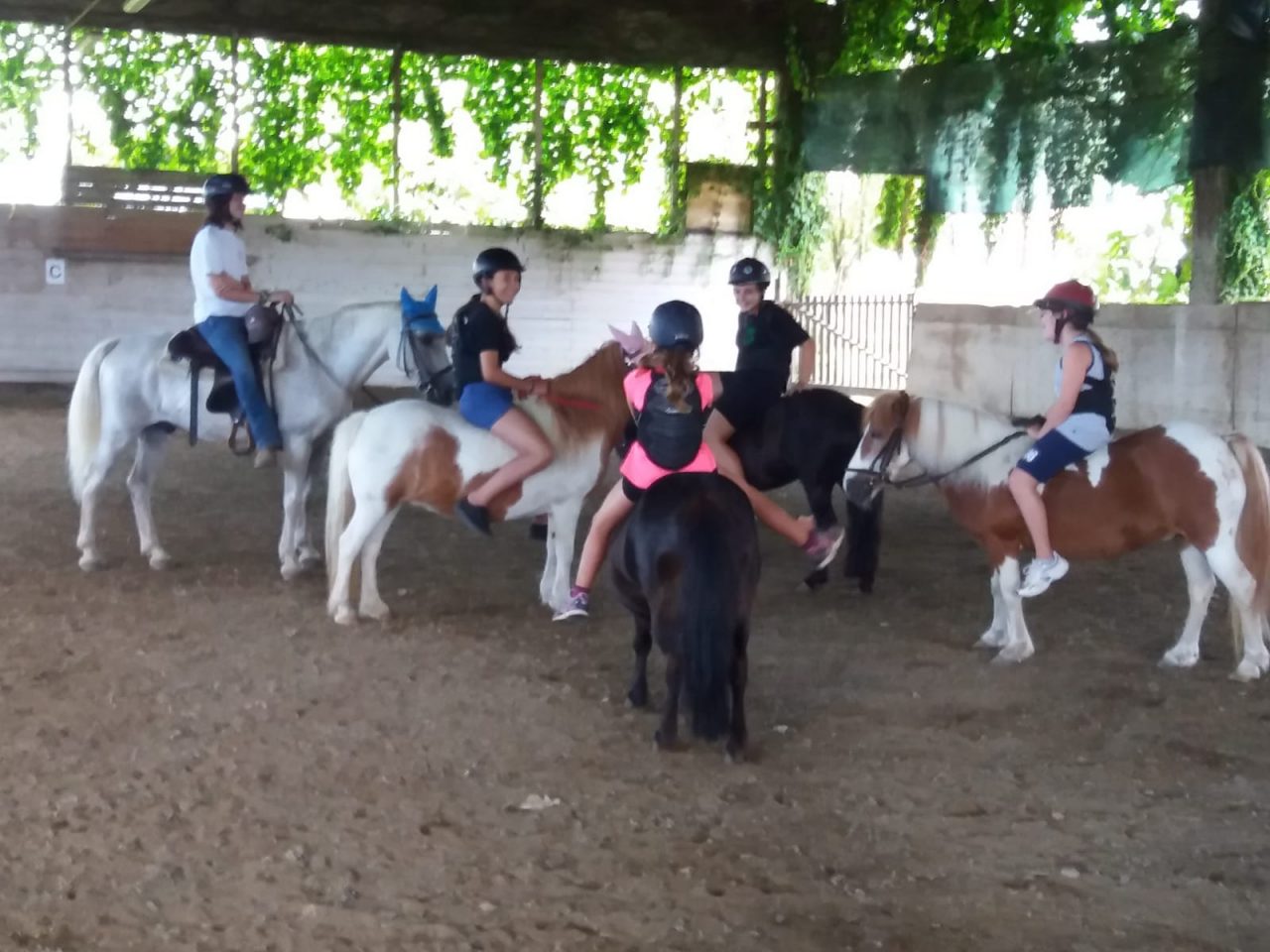 Con i pony di Roberta nell’oasi per animali sfortunati