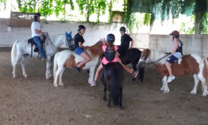 Con i pony di Roberta nell'oasi per animali sfortunati