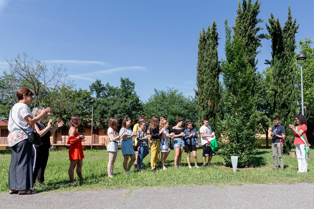 Piantumato un carpino cividate al piano