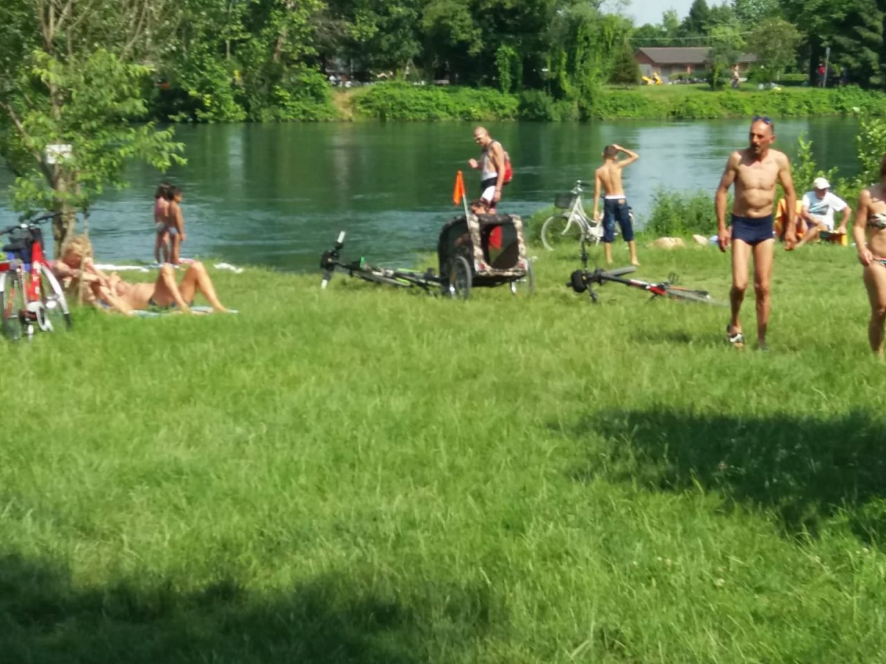 Pic-nic